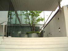 FURBO、正面入り口