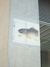 柱に描かれた魚のイラスト