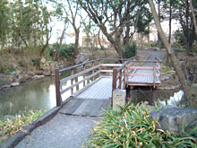 建物のすぐ向かいにある自然な環境