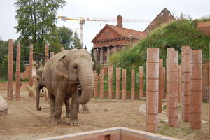 Elephant House, Copenhagen Zoo 