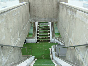 松見タワー 写真