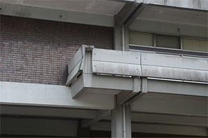 佐賀県立図書館