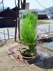 醒井水の宿駅（Slowtecture 醒井）