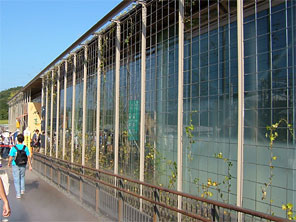 里の学び舎・ビジターセンター / 森のレストラン「Na菜Na」