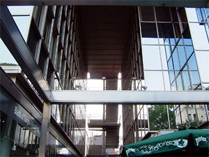 ハナエ・モリビル 写真